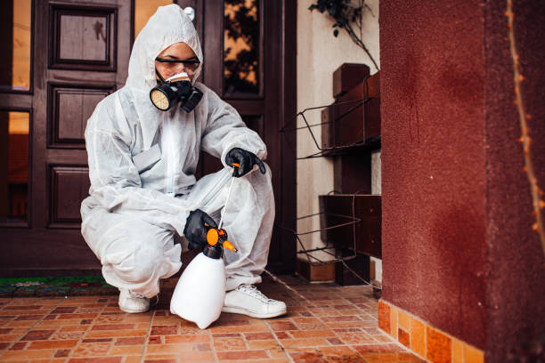 Reliable Cockroach Control contractor in Slidell, LA by Nex Pest Control